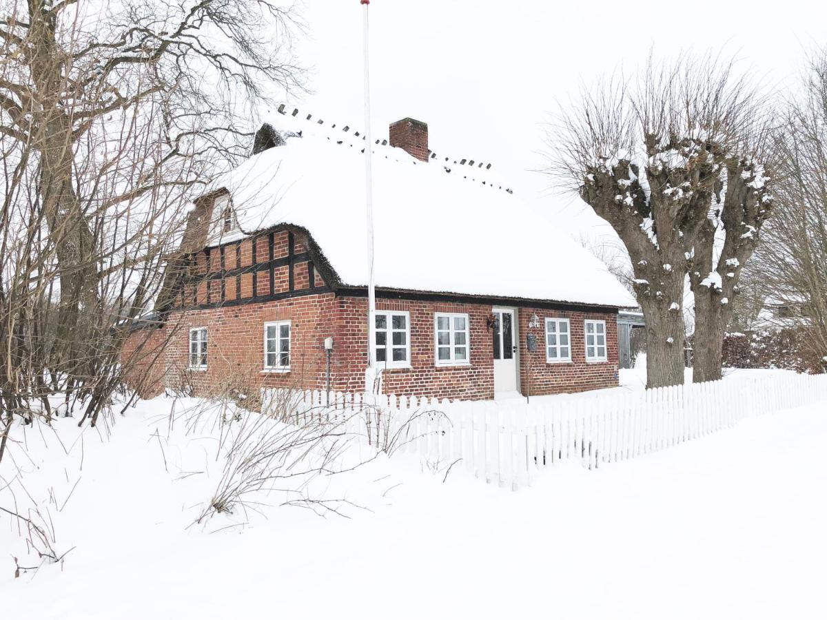 Romantisches Reetdachhaus - Frau Schroeders Mohrkirch Exteriör bild